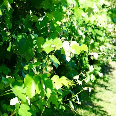 Maria Pia Bauernhof Gubbio